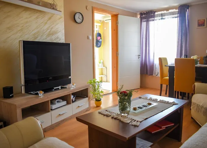 Golden Bis, Subotica