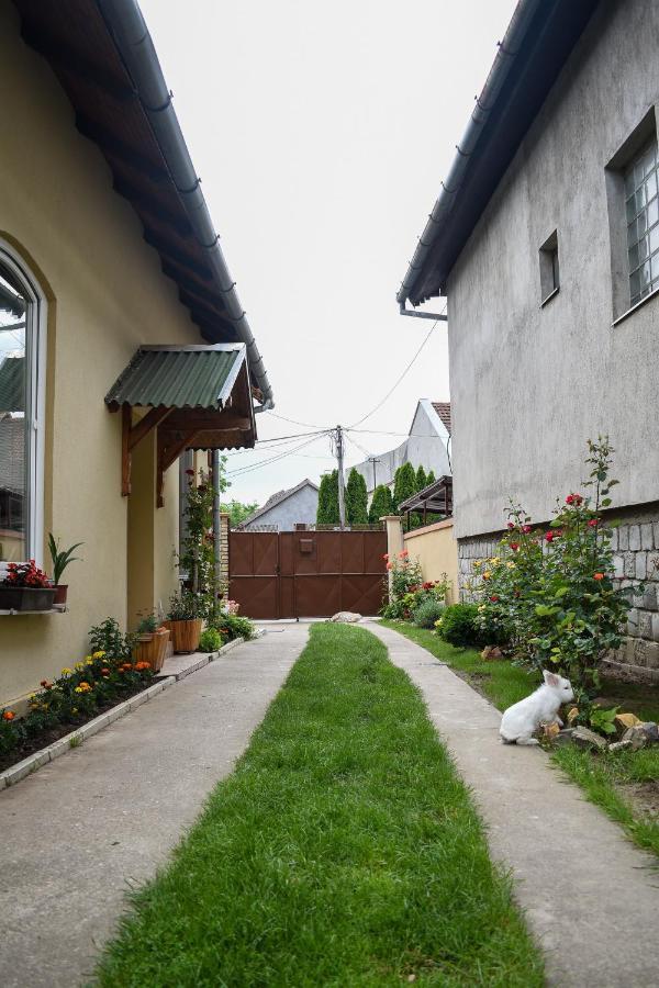 Golden Bis, Apartment